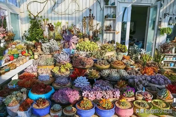 他賣掉城裡的房子，包了個山頭，打造集裝箱陽光房、小木屋、花園