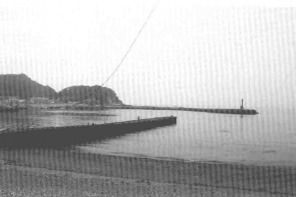 「 日本專業海釣入門投釣書籍 」投釣技巧掌握好 中魚不斷