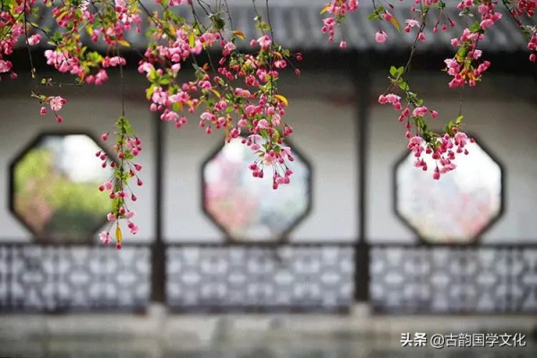 《道德經》:八句話,八種處世大智慧 《道德經》:八句話,八種處世大智慧