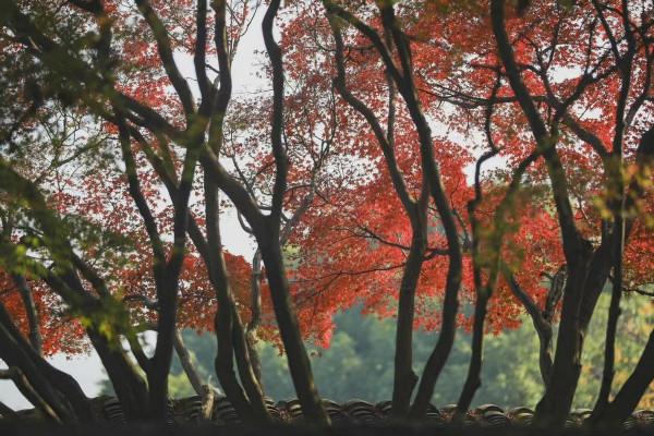 心理學：把“謝謝”掛在嘴邊的人，無非是這3種人