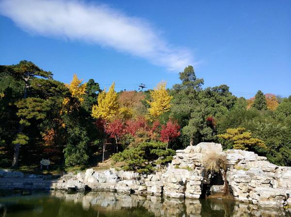 北京適合秋天遊玩的公園，公交直達門票10元，山清水秀紅葉迷人