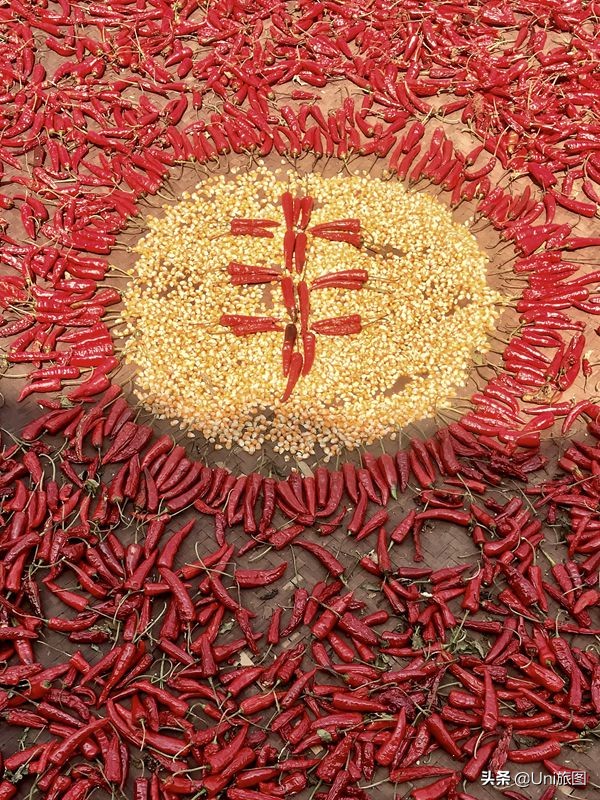 今日秋分 | 豐收的季節來了，金色田野惹人醉