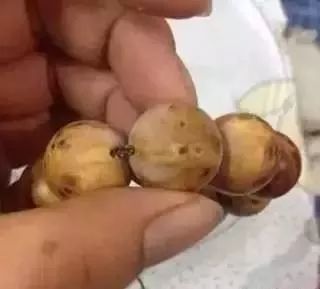 難道我怎麼好的手串扔了嗎？