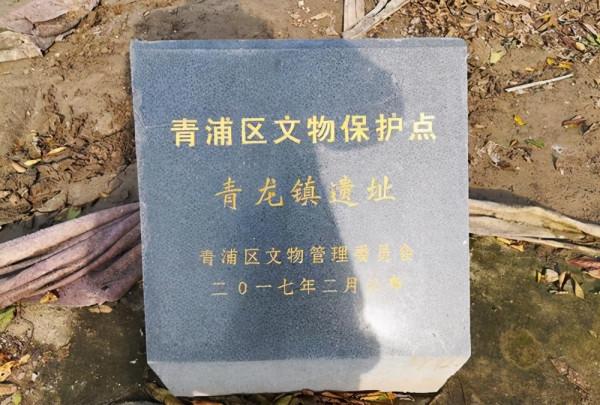 上海古鎮發現一口宋代古井，6年後卻挖出千年地宮，出土4顆佛舍利