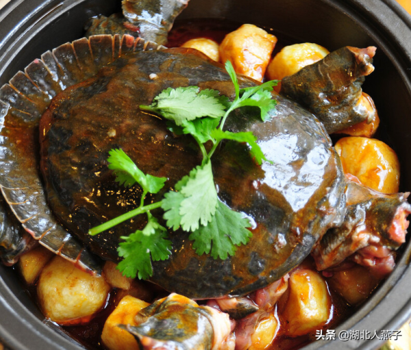 浙江最出名的13道名菜,特色浙菜合集,鮮香可口,看完肚子都餓了 浙江最出名的13道名菜,特色浙菜合集,鮮香可口,看完肚子都餓了