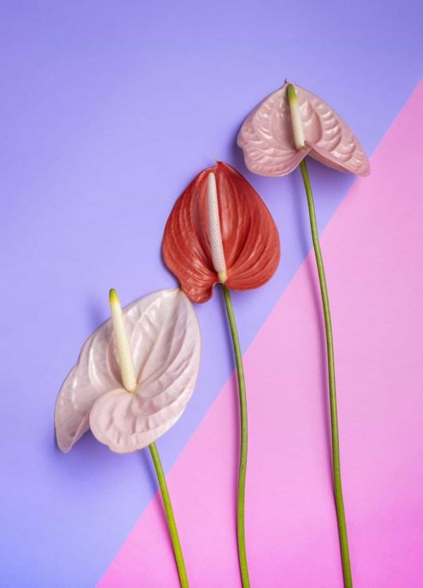 孩子們就像一根隱形的線，牽著家長們