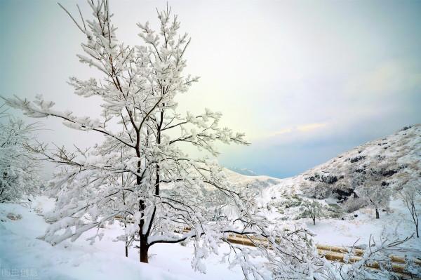 美麗景色，雪景，冰雪奇景，美不勝收