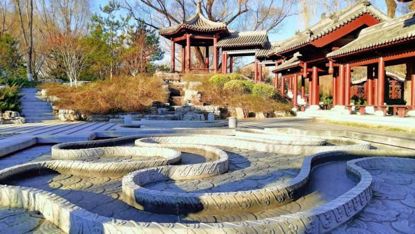 玉淵潭東湖溼地，一個只接待20人的神秘溼地公園