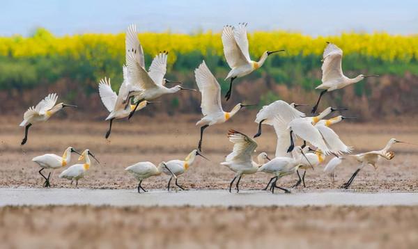 江蘇又一高鐵預計明年開工：連線蘇北蘇南，快看看沿途有你家嗎？