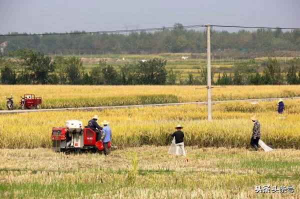 天氣預報：八月十三天氣晴，有啥說法？農諺能預兆，看老祖宗咋說