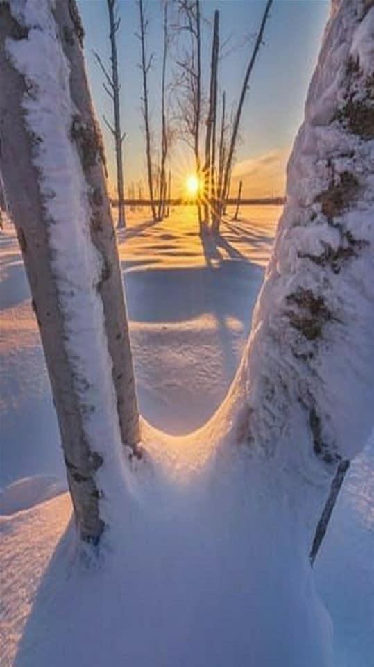 分享白雪皚皚的雪景，銀裝素裹，美景如畫