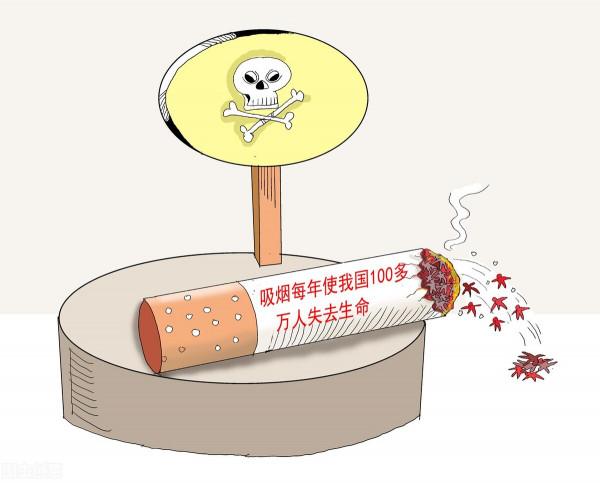 「防癌誤區」天天吃抗癌食物，就能遠離癌症？