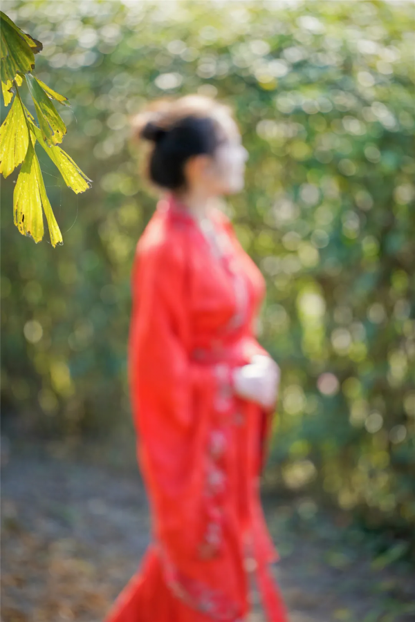 心旅禪行丨暖陽相伴，尋覓禪意中的“一抹紅”