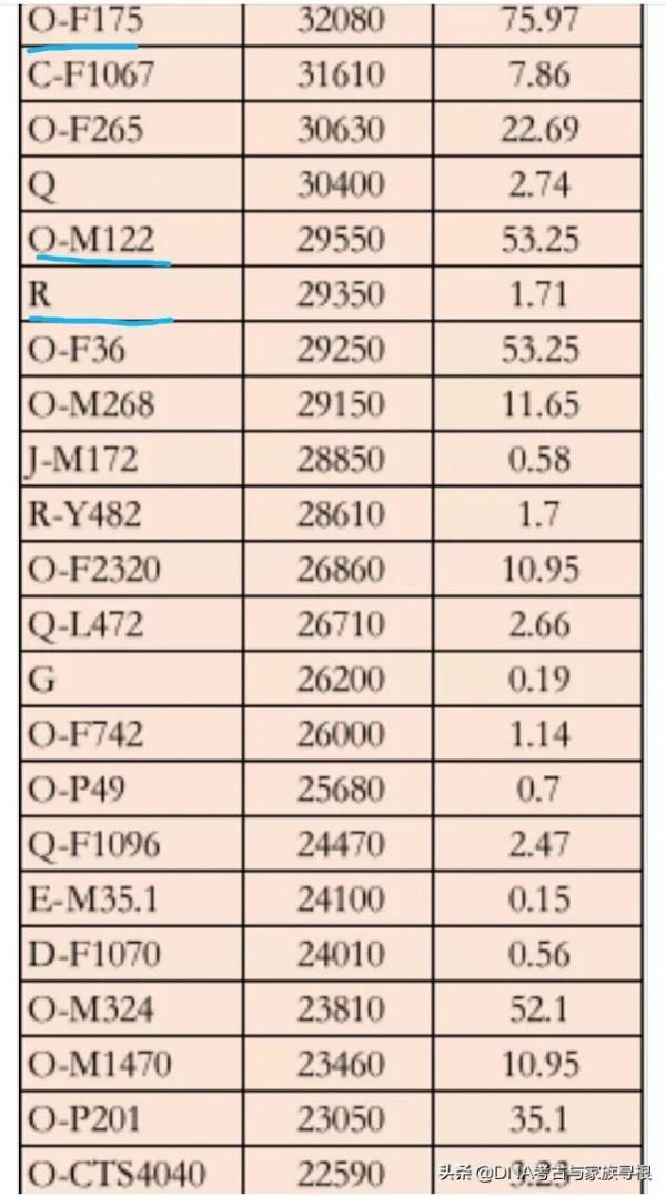 趣味人類學:中國男性父系型別及佔比 趣味人類學:中國男性父系型別及佔比