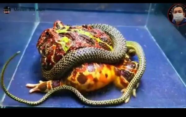 活著 如此不容易