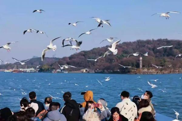 江蘇文旅頭條 &vert; 享受冰雪世界樂趣，這20條主題遊線路不容錯過