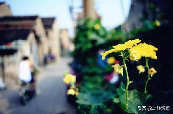 你不知道的貴州 | 啥？在貴州談戀愛，有專門的場所？