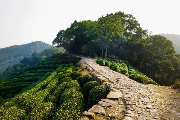 金秋十月，沉醉在江南絕美的秋色中，經典還免費