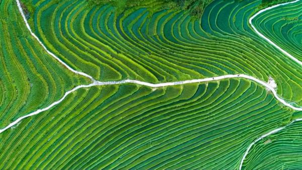 廣西必去的10大旅遊風景點 你到過幾個? 廣西必去的10大旅遊風景點 你到過幾個?