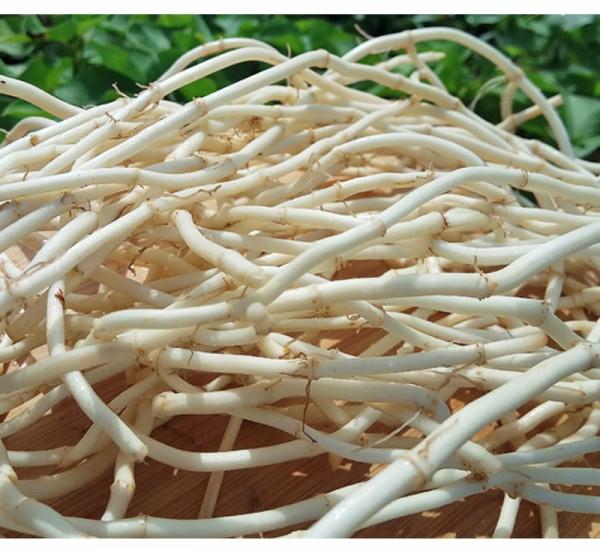 聞名全國的“七大怪菜”，都是當地人的心頭愛，外地人不敢嘗試