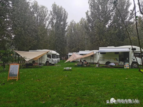 北京新開一家動物園,可以和老虎共進午餐 北京新開一家動物園,可以和老虎共進午餐