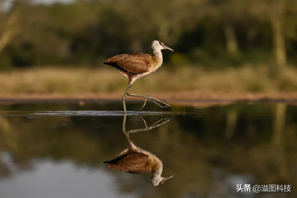 重新認識下獲得DPReview年度大獎的尼康Z 9 重新認識下獲得DPReview年度大獎的尼康Z 9