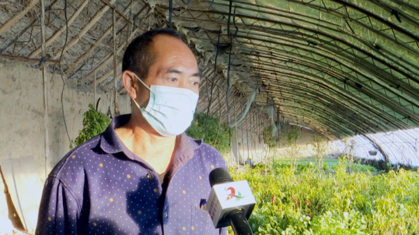 大棚種植，把美好願景“種”出來～