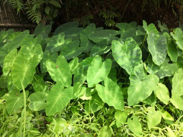 請一定善待自己的孩子 請一定善待自己的孩子