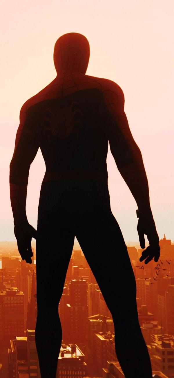 桌布|蜘蛛俠手機桌布,真的有隻豬呀 桌布|蜘蛛俠手機桌布,真的有隻豬呀