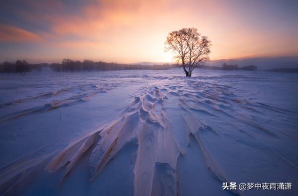 不滅的戰意，獅子座
