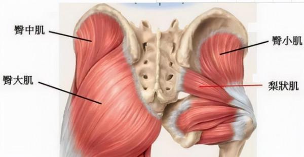 產後腿部變得又粗又短？其實你不是真胖，而是產後引起的假胯寬