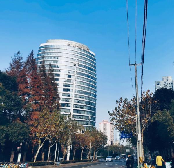 獨家｜世茂集團設立投資者關係部，世茂股份IR前來馳援