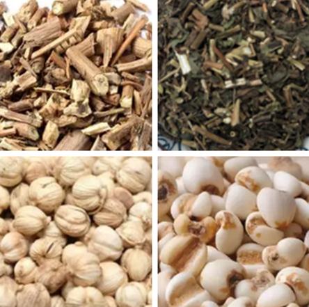 血壓高、溼氣重、脾胃虛，三杯茶飲請自取