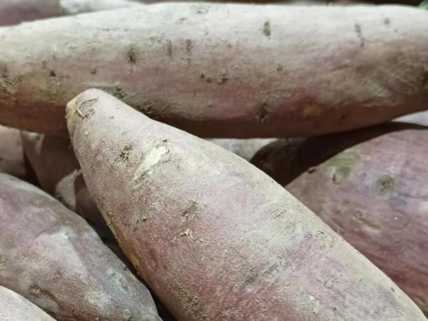 深度體驗cool 20pro拍照技術 深度體驗cool 20pro拍照技術