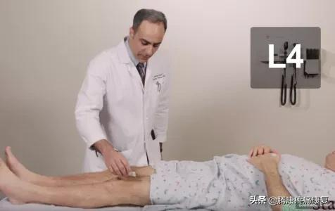 腰痛常用體格檢查 腰痛常用體格檢查