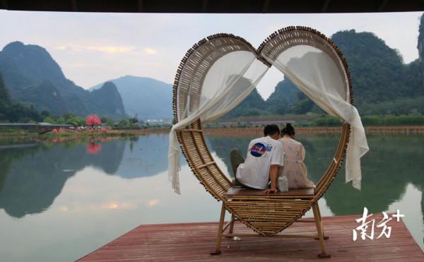 錯過再等一年！英德九龍鎮粉黛悄然開放
