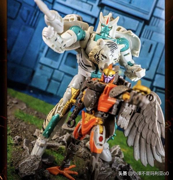 變形金剛《王國》系列紅黑榜大盤點！哪些值得買看完你就知道了