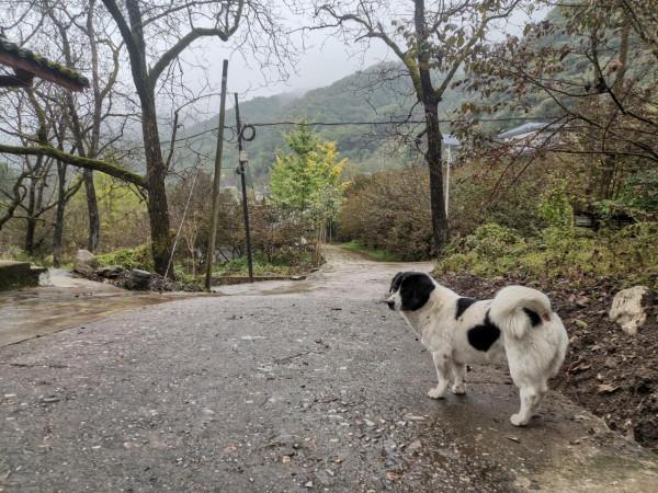 3萬人“邊城”何以名列國家公園