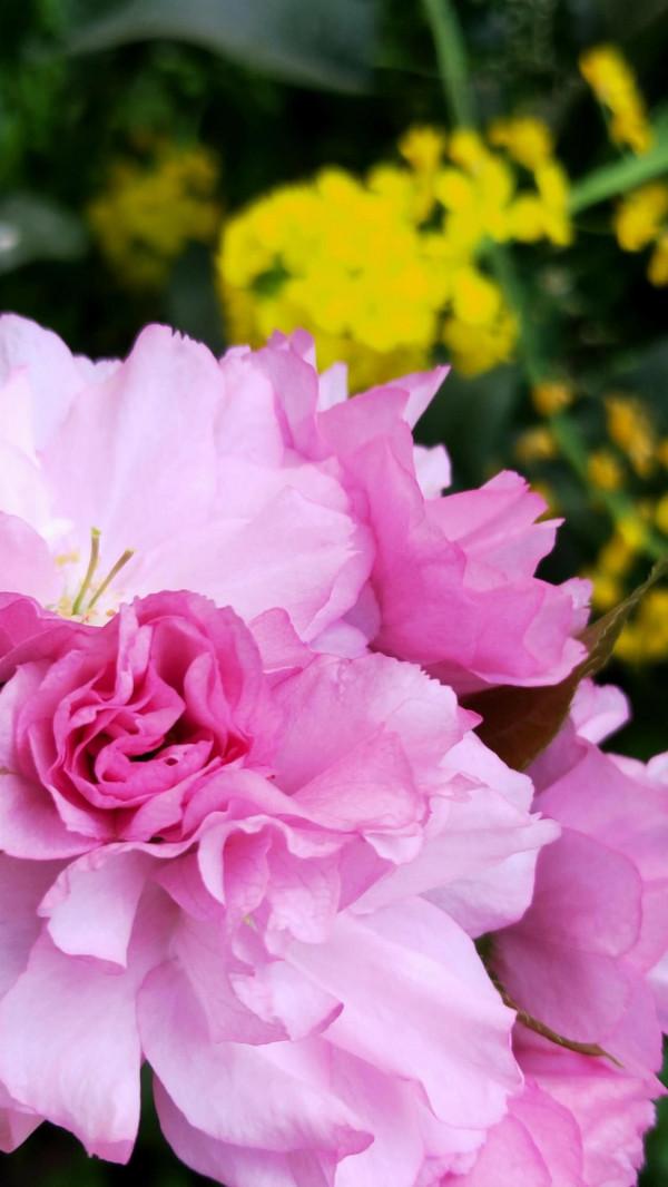 盯上我房子的大齡剩男