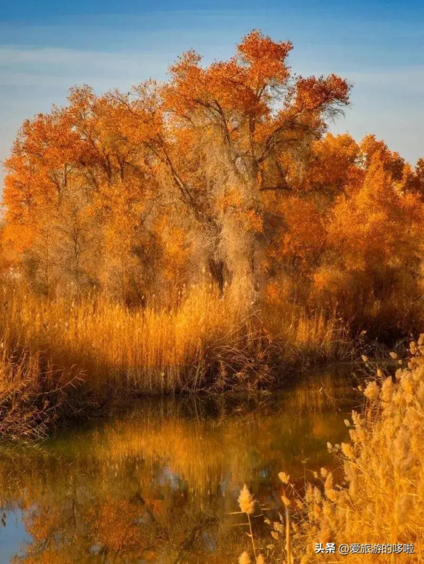 第一次去新疆怎麼玩！花了1個月總結出的保姆級攻略送上