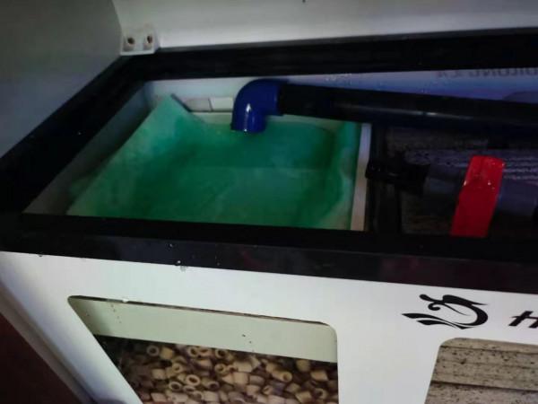 突發奇想的某些東西,可以放到魚缸裡當濾材嗎?最好不要嘗試 突發奇想的某些東西,可以放到魚缸裡當濾材嗎?最好不要嘗試