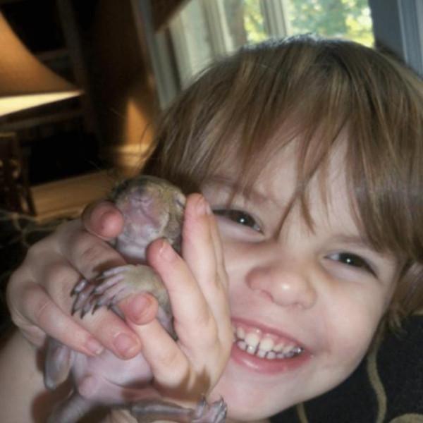 女子救助一窩小松鼠，長大後放生，松鼠卻每個月都回家看“媽媽”