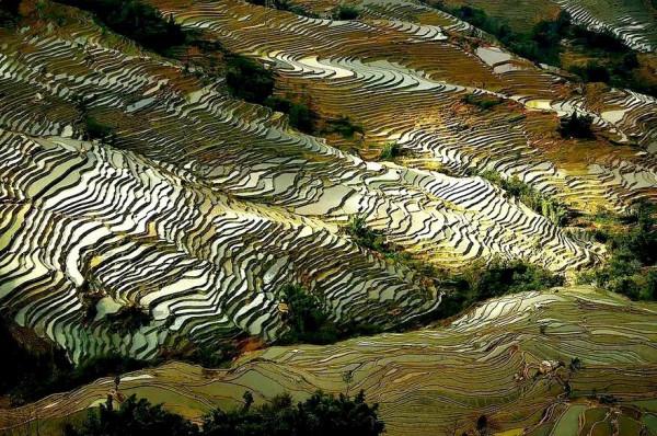 仙境一般的梯田美景，氣勢磅礴壯觀，無與倫比
