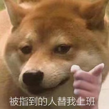 專科生一定要升本嗎