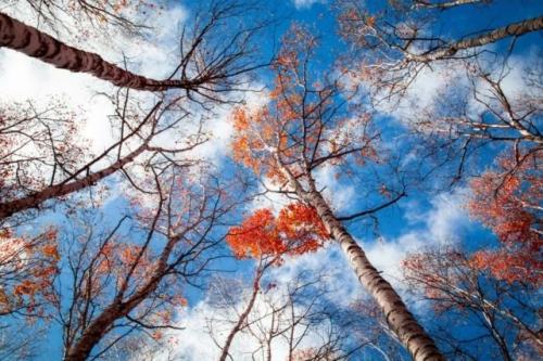 《唐詩三百首》中12位低調的詩詞大神,一人一首傳世名篇 《唐詩三百首》中12位低調的詩詞大神,一人一首傳世名篇