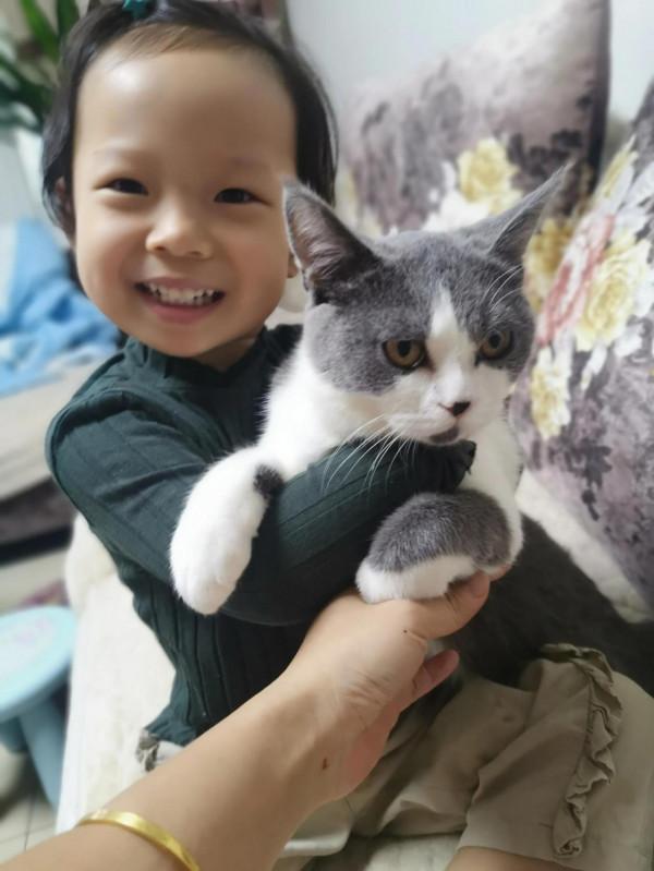 看看撿來的貓咪，來我家已經兩個月了