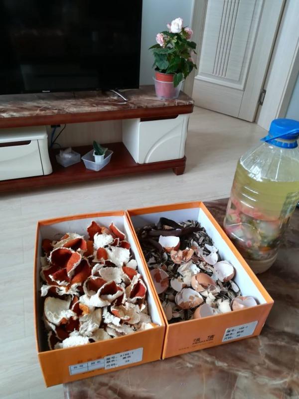 一碗淘米水,妙用講不完,能澆花還能洗碗 一碗淘米水,妙用講不完,能澆花還能洗碗