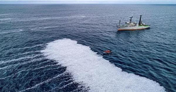 荷蘭漁船把10萬條死魚倒在法國海域，稱&OpenCurlyDoubleQuote;魚太大，網破了&rdquo;