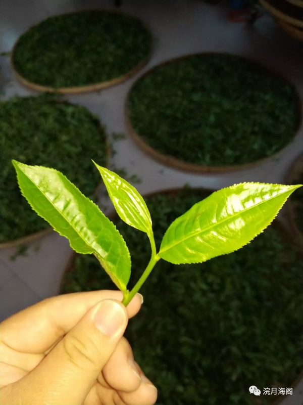 吃貨的彩雲之南——實拍篇 吃貨的彩雲之南——實拍篇