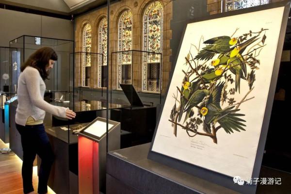 管道穿行間,遊遍倫敦—博物館篇之自然歷史博物館(下) 管道穿行間,遊遍倫敦—博物館篇之自然歷史博物館(下)